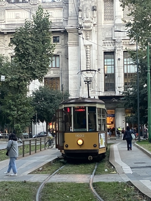 IMG_2802.jpeg